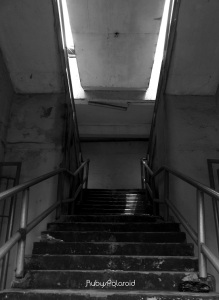 Stadium Stairs by rubys polaroid