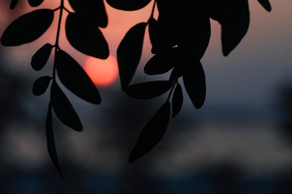 Framed Sunset by rubys polaroid